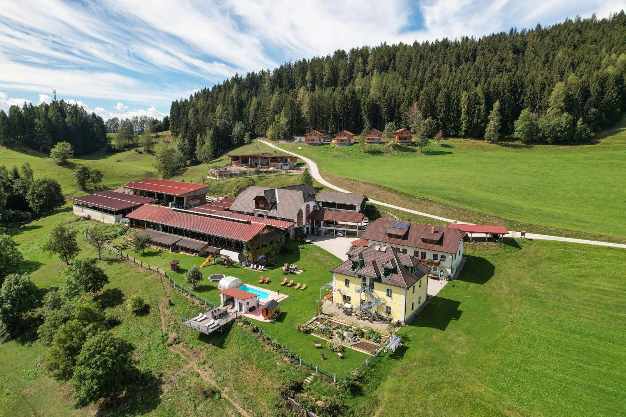 Hochleben-Chalets Am Erlebnisbauernhof Steinerhof Liebenfels Esterno foto